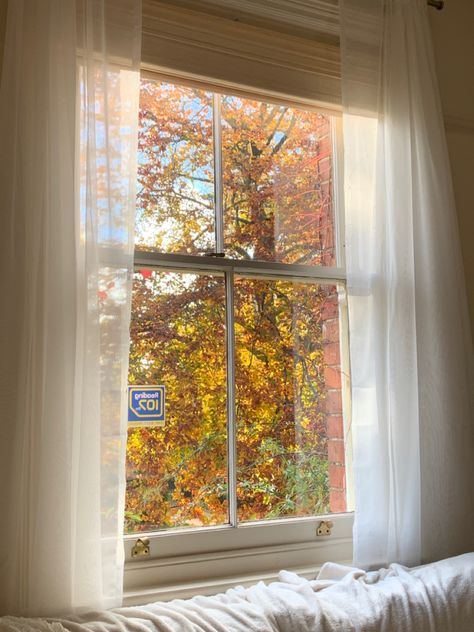 Cute Window, Beautiful Rooms, Late Afternoon, Room With Plants, Dream Room Inspiration, Window View, Girls Room, Dream Room, Girl's Room