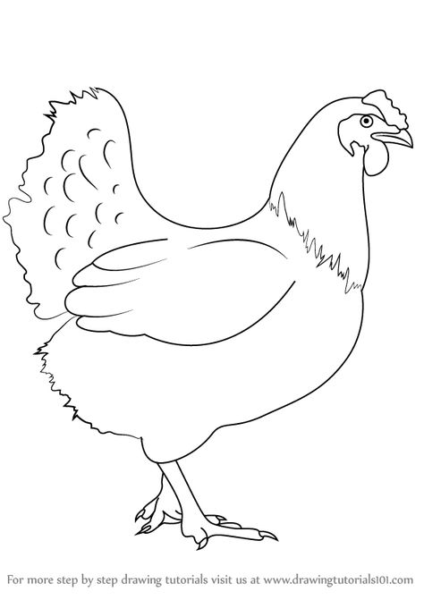 How To Draw Chicken, Farm Drawing Easy, Chicken Painting Easy, Drawing Of A Chicken, Chicken Sketch, Hen Drawing, Draw A Chicken, Farm Drawing, Chicken Drawing