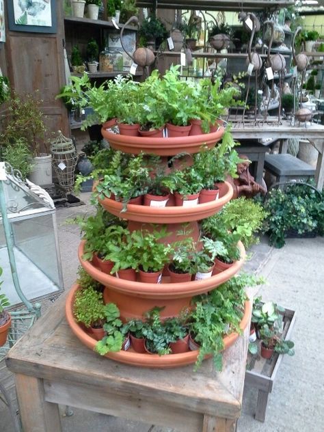 Garden Center Merchandising Display Ideas | JM home and garden plant display | Delightful Displays Succulent Display Ideas, Garden Center Displays, Plant Display Ideas, Succulent Display, Plant Display, Garden Nursery, Garden Store, Garden Containers, Merchandising Displays