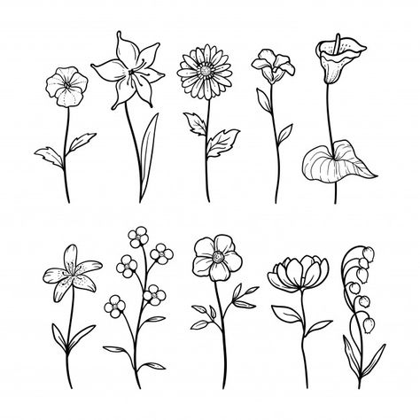 Doodle Art Flowers, Florist Logo, Flower Drawings, Graphic Floral, Floral Tattoo Design, Embroidery Template, Easy Drawings For Kids, Floral Drawing, Little Doodles