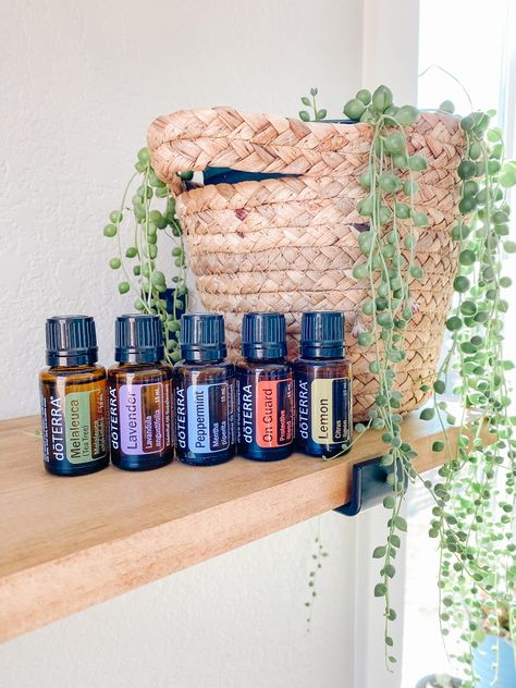 Essential Oils Pictures, Essential Oils Aesthetic, Diy Oil Diffuser, Essential Oils For Beginners, Doterra Balance, Essential Oils Business, Deep Focus, Doterra Business, Essential Oils Health