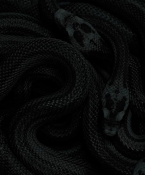 Dark Snake Aesthetic, Snakes Aesthetic, Snake Aesthetic, Gucci Soho Disco Crossbody, Phone Themes, Snakes, Dark Aesthetic, Cute Wallpapers, Graphic Design