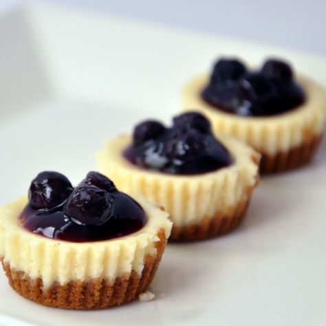 Mini Blueberry Cheesecake Blueberry Cheesecake Bites, Blueberry Cheesecake Recipe, Resepi Biskut, Cheesecake Mini, Cheesecake Bites, Mini Cheesecakes, Blueberry Cheesecake, White Plate, Snacks Für Party