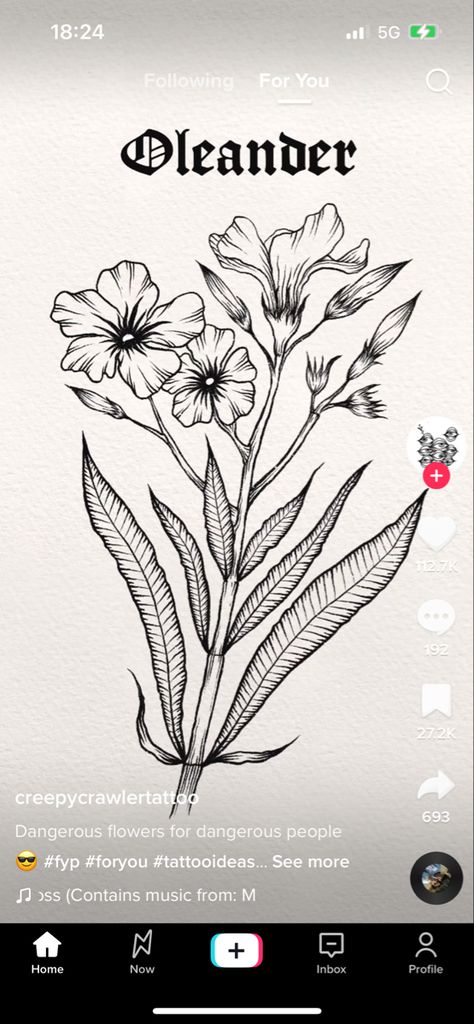 Poison Flowers Drawing, Poisonous Flower Tattoo, Poisonous Plants Tattoo, Poison Flowers Tattoo, Poison Plant Tattoo, White Oleander Tattoo, Poisonous Plant Tattoo, Oleander Flower Tattoo, Deadly Flower Tattoo