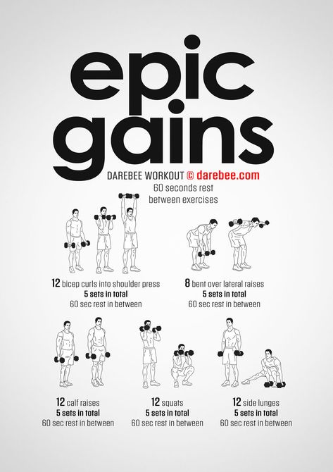 Epic Gains Workout Darbee Workout, Dumbbell Workout Plan, Stamina Workout, Mobility Training, Physical Wellbeing, Workout Program Gym, Warrior Workout, Dumbell Workout, Gym Workout Chart