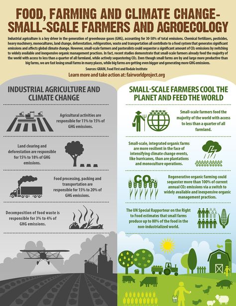 Food_Farming_Climate_Change-8x11 Academic Poster, Agriculture Education, Permaculture Gardening, Food Web, Sustainable Agriculture, Sustainable Farming, Environmental Science, Organic Farming, Farm Gardens