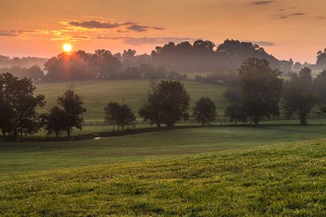 Kentucky Horse Farms, Pretty Nature Pictures, Racing Horse, Cottage Aesthetic, Dreamy Landscapes, Watercolour Inspiration, Dream Cottage, Forest Painting, Beautiful Sights