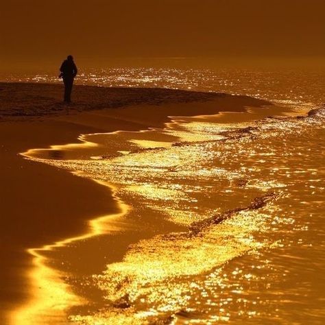 Walking On The Beach, Gold Aesthetic, Orange Aesthetic, Liquid Gold, Yellow Aesthetic, Dark Yellow, Mellow Yellow, Pics Art, Pure Gold