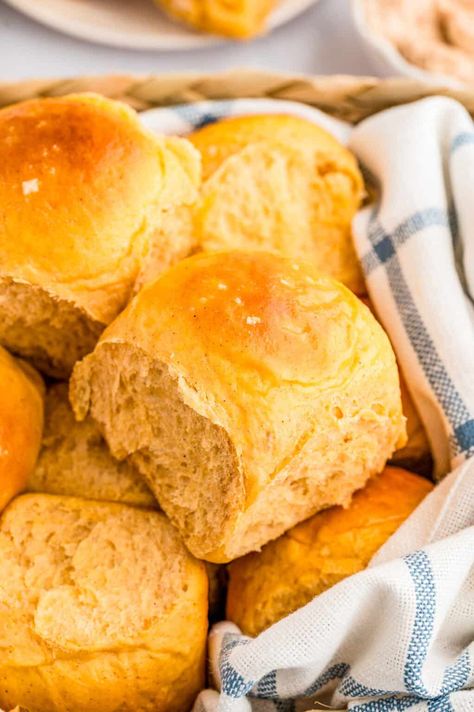 A delicious side, these Sweet Potato Dinner Rolls give a nice sweetness to the bread making them a fun and tasty addition to your favorite meal. Sweet Potato Rolls Recipe, Potato Dinner Rolls, Sweet Potato Rolls, Sweet Potato Dinner, Soft Rolls, Potato Biscuits, Buttery Rolls, Sweet Potato Bread, Rolls Bread