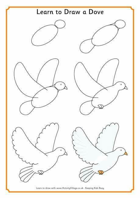 Draw a pigeon How To Draw A Dove Step By Step, How To Draw A Bird, Simple Bird Drawing, Christmas Drawings For Kids, Trin For Trin Tegning, Easy Butterfly Drawing, Draw A Bird, Easy Pencil Drawings, Draw Birds