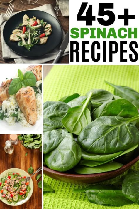 So many amazing recipes that feature spinach as an ingredient. If you are trying to find new ways to add spinach to your diet you have to check these awesome spinach recipes out! #spinach #healthyrecipes #spinachrecipes #vegetables Spinach Recipes Meal Prep, What To Do With Extra Spinach, Spinach Entrees Dinners, Sandwiches With Spinach, Recipes With Spinach Leaves, Dinners With Spinach Healthy, Grilled Spinach Recipe, Ways To Use Fresh Spinach, Dinner Spinach Recipes