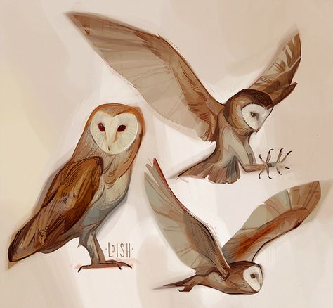 Loish (@loishh) / Twitter Owl Drawing Reference, Owl Design Drawing, Fantasy Owl Art, Drawing Of Owl, Owl Monster, Owl Reference, Cute Owl Illustration, Cute Owl Drawing, Owl Character