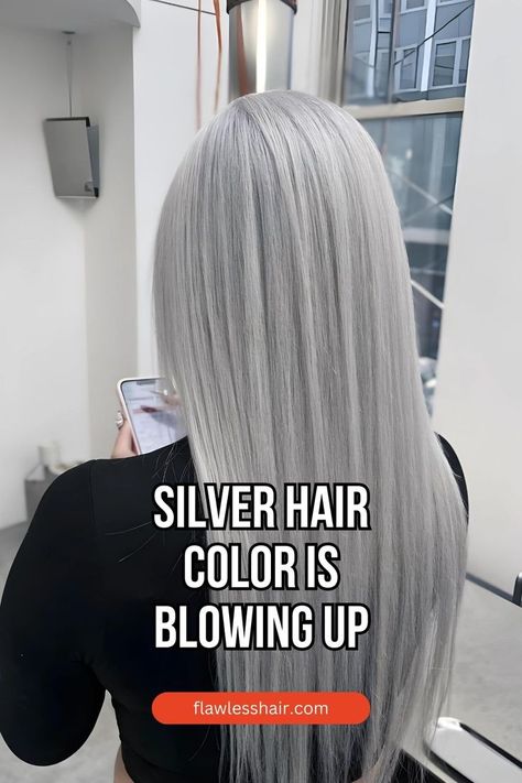 Silver Blonde Iced Grey Hair, Icy Ash Blonde Hair With Shadow Root, Platinum Silver Hair Highlights, Silver Ash Blonde Hair, Hair Styles Grey, Silver Blonde Hair Dye, Silver Platinum Hair, Platinum Silver Hair, Dark Silver Hair