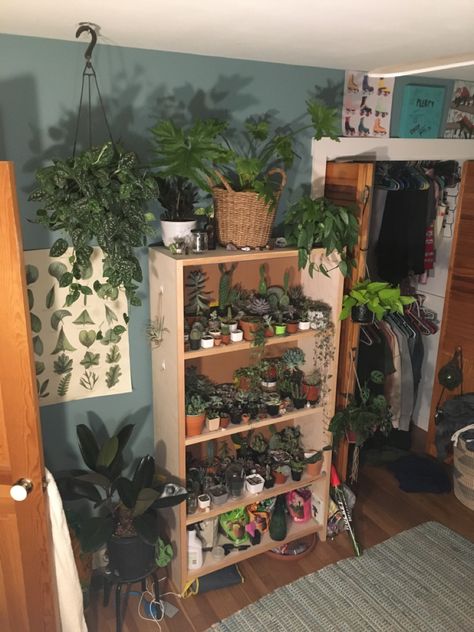 Succulent Shelf, Maximalist Bedroom, Cottagecore Academia, Future Aesthetic, Future Room, Retro Room, Bedroom Remodel, Room Goals, Vintage Bedroom