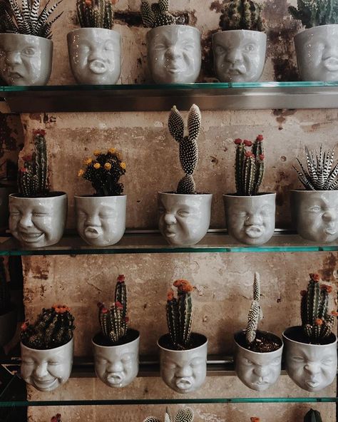 Face Pots, Face Plant Pot, Pots Ceramic, Office Decor Desk, Ceramic Succulent Pots, Ceramic Face, Plant Hacks, Cactus Planter, Cactus Pot