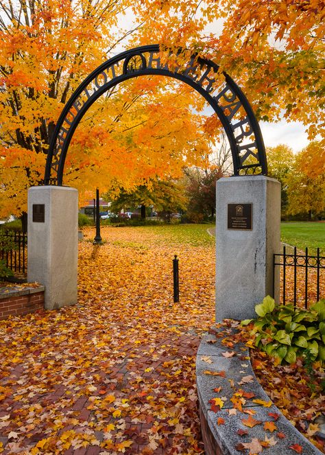 Arch Gate, Forest Gate, Garden Gate Design, Park Signage, Entrance Gates Design, Garden Entrance, Entrance Sign, Landscape Design Plans, River Park