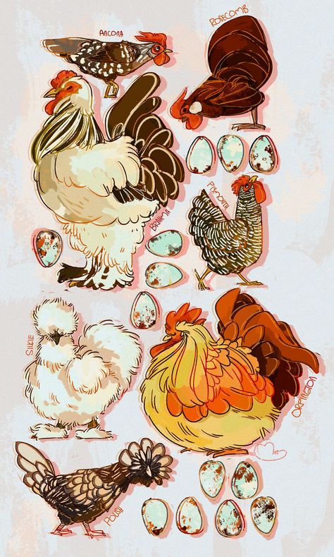 thundercluck-blog: “Hey! Meg here for FEATHERED FRIDAY! Have some sweet, sweet chickens! ” Parrot Drawing, Xmas Drawing, Chicken Drawing, Scrapbook Printing, Creature Artwork, Cute Chickens, Chicken Art, Pet Chickens, Animal Sketches