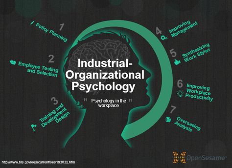 Organizational Psychology, Industrial And Organizational Psychology, Psychology Careers, Ap Psychology, Workplace Productivity, Leadership Strategies, Applied Psychology, Organizational Behavior, Workforce Development