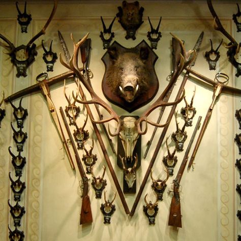 Antique Taxidermy, History Room, Sibiu Romania, Trophy Plaques, Antlers Decor, Cabin Aesthetic, Hunting Room, Bg Design, Bear Hunting