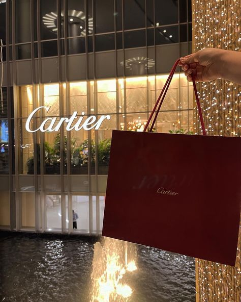 Shopping Girl Aesthetic, Luxury Shopping Aesthetic, Cartier Aesthetic, Cartier Shopping, Sunset Proposal, Cartier Bag, Luxurious Brands, Women Ceo, Birthday Goals