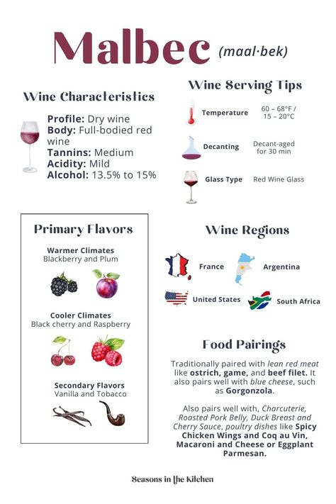 Malbec vs Pinot Noir: Explore the differences, origins, unique flavors, and perfect pairings for these two distinct wines. Wine Infographic, Wine Paring, Malbec Wine, Pinot Noir Grapes, Table Etiquette, Wine Folly, Wine Recommendations, Drinks Ideas, Wine Flavors