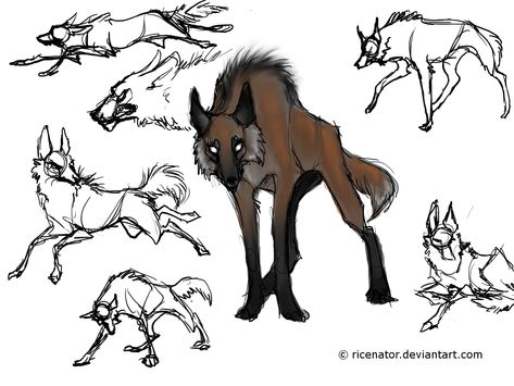 Maned Wolf Werewolf, Wolf Size Comparison, Maned Wolf Drawing, Maned Wolf Art, Wolf Concept Art, Maned Wolves, Coyote Drawing, Wolf Size, Wolf Poses