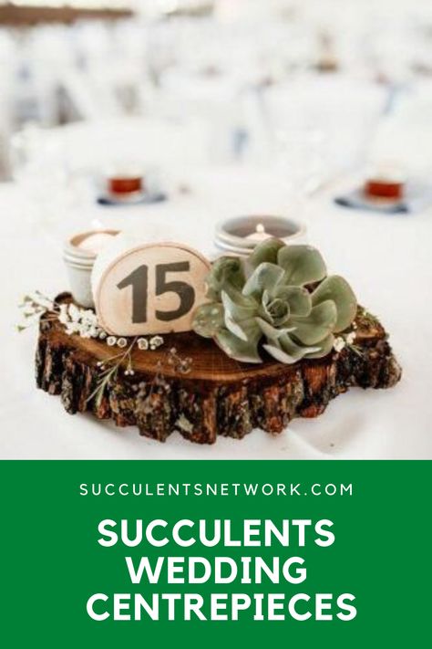 Have you ever used succulents as centerpieces? Your special day will be even better! Succulent theme looks gorgeous as wedding theme, happy atmosphere to bring your loved ones together. #centerpieces #wedding #succulents #theme #celebration Boho Succulent Wedding Centerpieces, Succulent Wedding Table, Wedding Succulents, Succulent Wedding Centerpieces, Succulent Theme, Succulent Wedding Favors, Wedding Centrepieces, Bridal Shower Cookies, Succulent Centerpieces