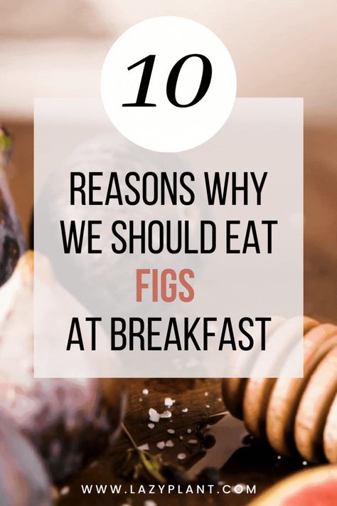 Fig Recipes Healthy, Figs Breakfast, Health Benefits Of Figs, Dried Fig Recipes, Fig Recipes, Hair Skin And Nails, Dried Figs, Well Balanced Diet, Fresh Figs