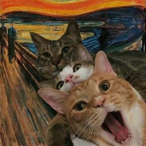 Group Of Cats, The Scream, Arte Van Gogh, Cat Quotes Funny, Art Parody, Silly Cats Pictures, Cat Icon, Cats Art, Cat Quotes