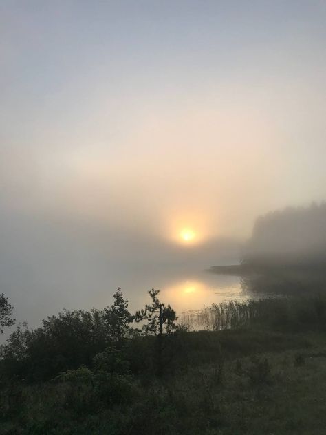 Dewy Morning Aesthetic, Fog In The Morning, Fog At Dawn, Dawn Aesthetic Dark, Morning Fog Aesthetic, Dawn Core, Dawn Aesthetic, Hounds Of Love, Barbara Eden