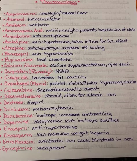 Veterinary Technician Aesthetic, Vet Tech Organization, Vet Study Notes, Vet Tech Tips, Veterinary Science Project Ideas, Vet Student Notes, Vet Assistant Notes, Veterinarian Notes, Vet Tech Prep