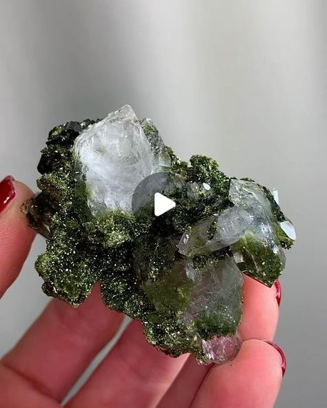 Pacific Minerals on Instagram: "Incredible Fairy Forest Epidote with Quartz Crystals 🌳🧚🧚 Super Sparkly ! 
#amazing #crystals #pacificminerals" Crystals, Epidote Crystal, Fairy Forest, Vulture Culture, Forest Fairy, Quartz Crystals, Quartz Crystal, Forest, The Incredibles