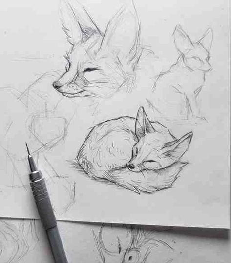 Animal Drawings Sketches, 강아지 그림, Arte Sketchbook, Fox Art, Dessin Adorable, Animal Sketches, Arte Animal, Cute Animal Drawings, Book Art Drawings