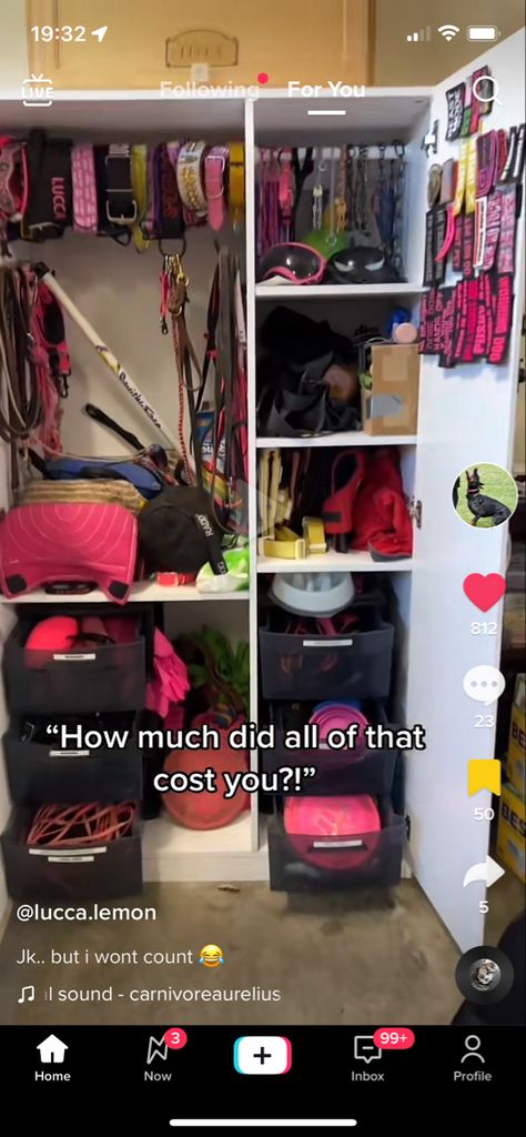 Dog Harness Organization, Garage Dog Training Room, Kennel Room, Dog Gear Storage, Service Dog Gear Wall, Service Dog Gear Organization, Dog Closet Ideas, Dog Gear Wall, Dog Training Room