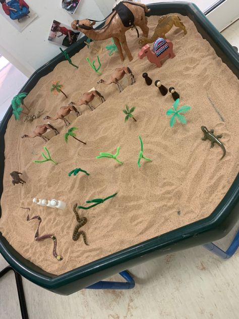 Desert Tuff Tray, Sand Tray Eyfs, Tuff Tray Eyfs, Desert Tray, Diy Toys Car, Qatar National Day, Sand Tray, Preschool Classroom Decor, Desert Animals