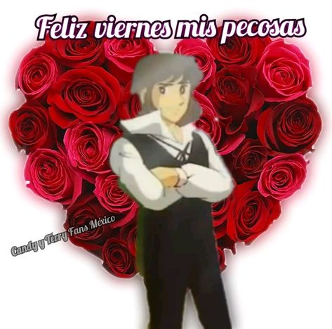 Terry Candy Candy, Candy Candy Anime, Me Vale, Candy Y Terry, Candy Icon, Anime Decor, Candy Candy, Spanish Memes, Anime Memes