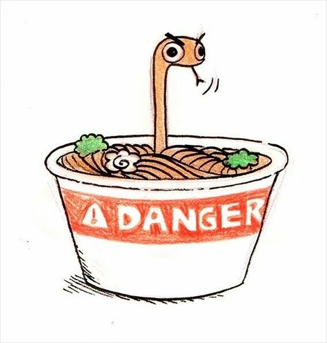 Noodles, Reptiles, Funny, Art, Tattoos, Danger Noodle, Flamingo, D Art, Bowl