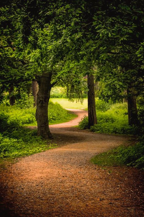 Woodland Lighting, Pathway Pictures, Path In Forest, Woodland Mural, Natures Path, Winding Path, Forest Path, Fantasy Castle, Beautiful Flowers Wallpapers