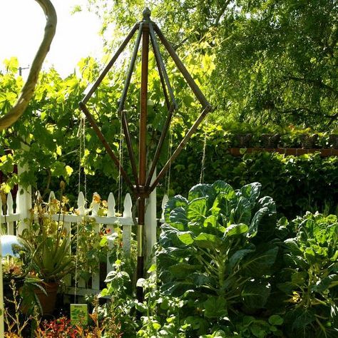 An old umbrella gets upcycled as a bean trellis – Orange County Register Upcycled Trellis, Umbrella Trellis, Bean Trellis, Trellis Diy, Bean Plant, Diy Trellis, Going Green, Garden Stakes, Laguna Beach