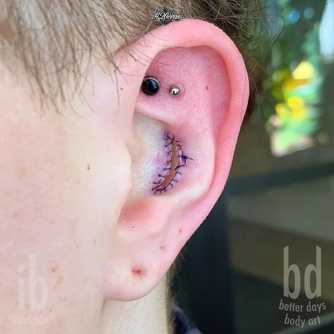 Ian Bell on Instagram: “Conch Coin Slot!  October 2-6 // Killeen, Texas October 10 // Flint, Michigan October 16-20 // Tampa Villain Arts October 23-24 // Fort…” Conch Punch Piercing, Coin Slot, Conch With Chain, Coin Slot Piercing, Inner Conch Ring, Coin Slot Ear Piercing, Orbital Conch Jewelry, October 10, Body Modifications