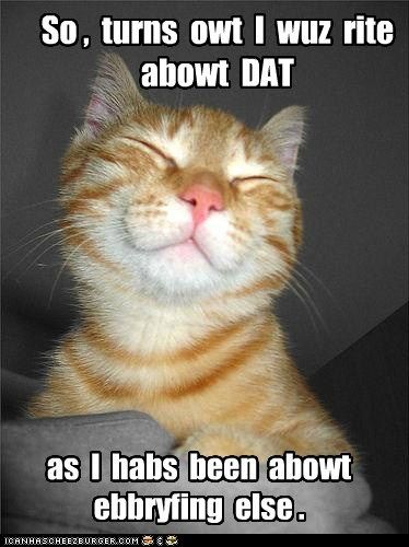 Right...Taa daaa Cat Holidays, Orange Cats, Funny Cat Memes, Happy Animals, Cute Kittens, Happy Cat, Beautiful Cats, Crazy Cats, Cat Pics