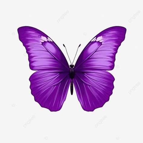 purple butterfly cute purple butterfly violet png Butterflies Images, Butterfly Purple, Butterfly Png, Butterfly Violet, Purple Butterfly Printable, Purple Butterfly Toppers Printable, Printable Purple Butterflies, Purple Background Butterfly, Purple Background With Butterflies