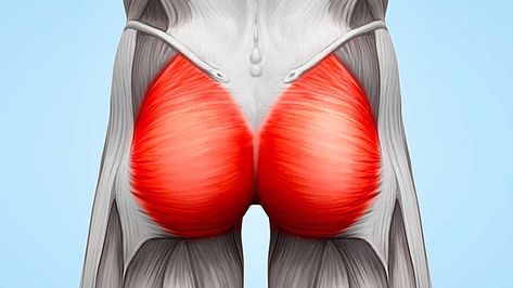 Real Men Train Their Glutes | T Nation Glutes Muscles, Glute Training, Glute Medius, Golf Fitness, Glute Activation, Advanced Workout, Workout Training Programs, Endurance Workout, Golf Exercises