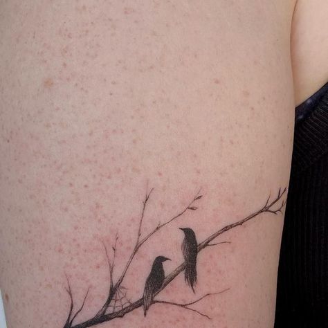 Sabel Lopez on Instagram: "happy Valentine’s Day from these little ravens on a branch 🖤🥀  the coolest first tattoo for Colette! 💖  #birdtattoo #firsttattoo #finelinetattooartist #orlandotattooartist #finelinetattoo #branchtattoo #tree #crowtattoo #raventattoo" Tattoo In Box Idea, 3 Ravens Tattoo, Dainty Raven Tattoo, Delicate Raven Tattoo, Tiny Raven Tattoo, Tattoo Two Birds, Dainty Crow Tattoo, Three Crows Tattoo, Raven Tattoo Fine Line