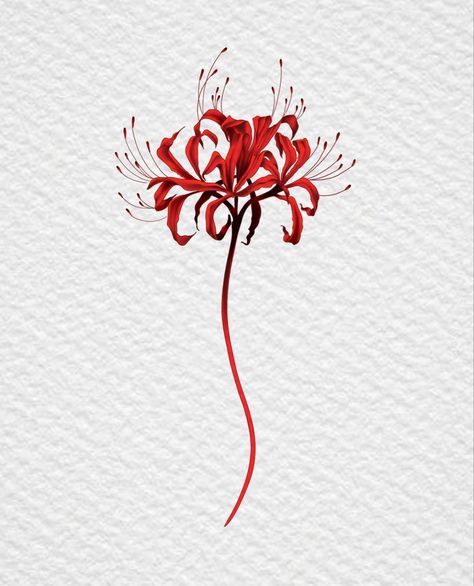 Tattoo Crane, Herren Hand Tattoos, Lillies Tattoo, Lily Tattoo Design, Red Spider Lily, Muster Tattoos, Geniale Tattoos, Lily Tattoo, Tattoo Style Drawings