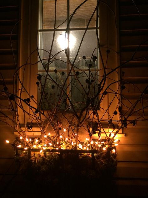 Halloween Window Box Decorations, Halloween Planter Box Ideas, Halloween Windowsill Decorations, Halloween Flower Boxes, Halloween Window Boxes Ideas, Halloween Window Boxes, Twig Decor, Window Halloween, Window Baskets