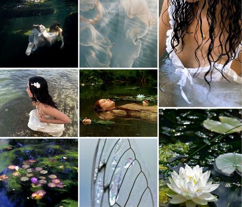 Results for quiz What type of fairy are you ? I got water fairy 🧚🏻‍♂️🪷 Water Witch Aesthetic, Types Of Mermaids, Water Witch, Water Fairy, Adopt Idea, Types Of Fairies, Water Spirit, His Dark Materials, Picture Boards