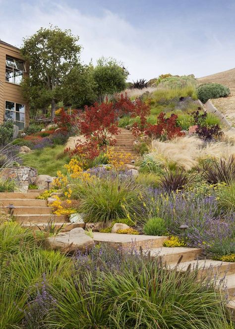 Australian Native Garden, Hillside Garden, Planting Design, Hillside Landscaping, Sloped Garden, Australian Garden, Landscape Architects, Native Garden, A Hill