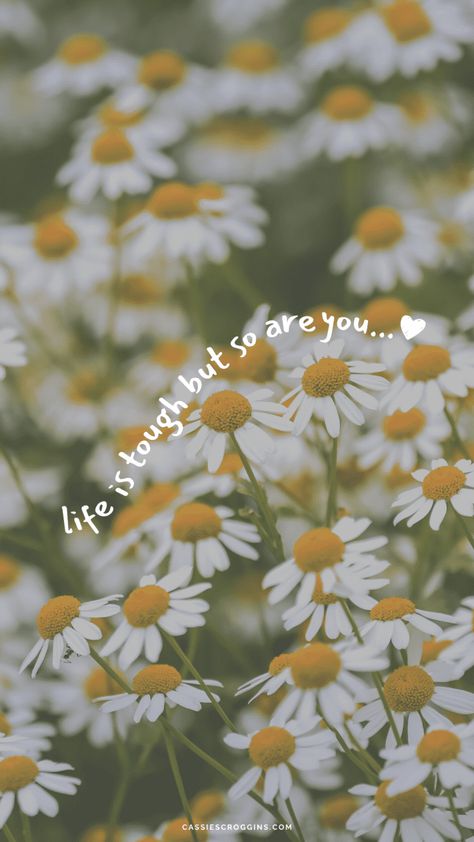 Pretty Phone Backgrounds, Wallpaper Iphone Boho, Cute Summer Wallpapers, Daisy Wallpaper, Whatsapp Wallpaper, Spring Wallpaper, Cute Simple Wallpapers, Flower Quotes, Inspirational Wallpapers