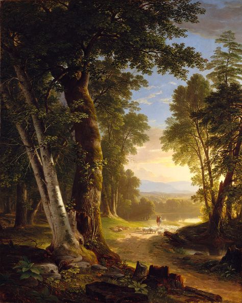 The Beeches. Asher Brown Durand (American, Jefferson, New Jersey 1796–1886 Maplewood, New Jersey) 1845. Hudson River School, Charcoal Drawings, Forest Path, Art Texture, Pierre Auguste Renoir, Alam Yang Indah, Gustav Klimt, Henri Matisse, Claude Monet